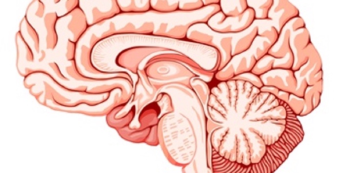 Aneurysma-Bonn-Operation-Diagnose-behandeln