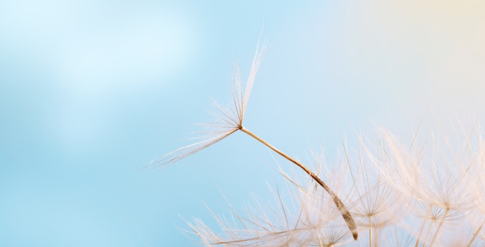 Aneurysma-Operation-Luedenscheid