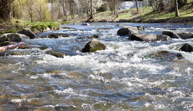 Hirntumor-Arten-Koeln