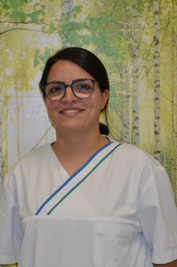 Demet Karabina